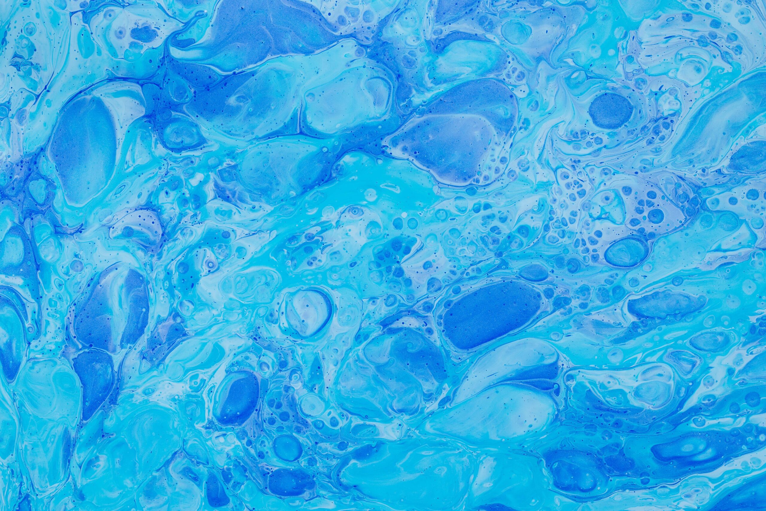 bilgener sirküler 2