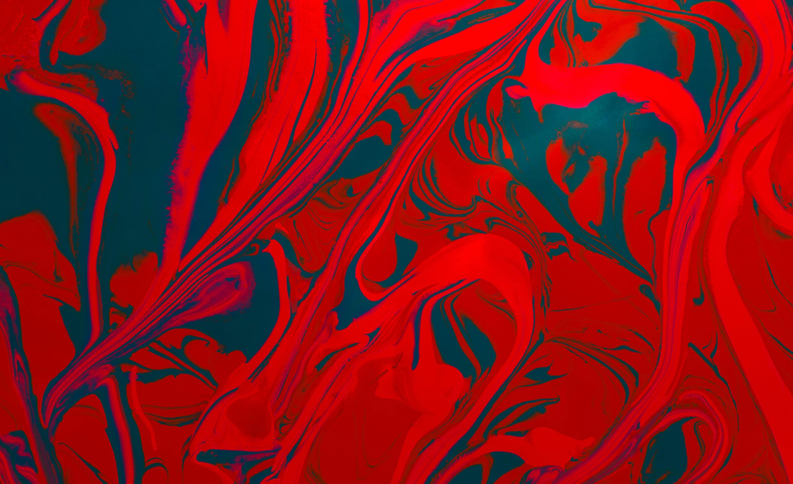 bilgener sirküler 10