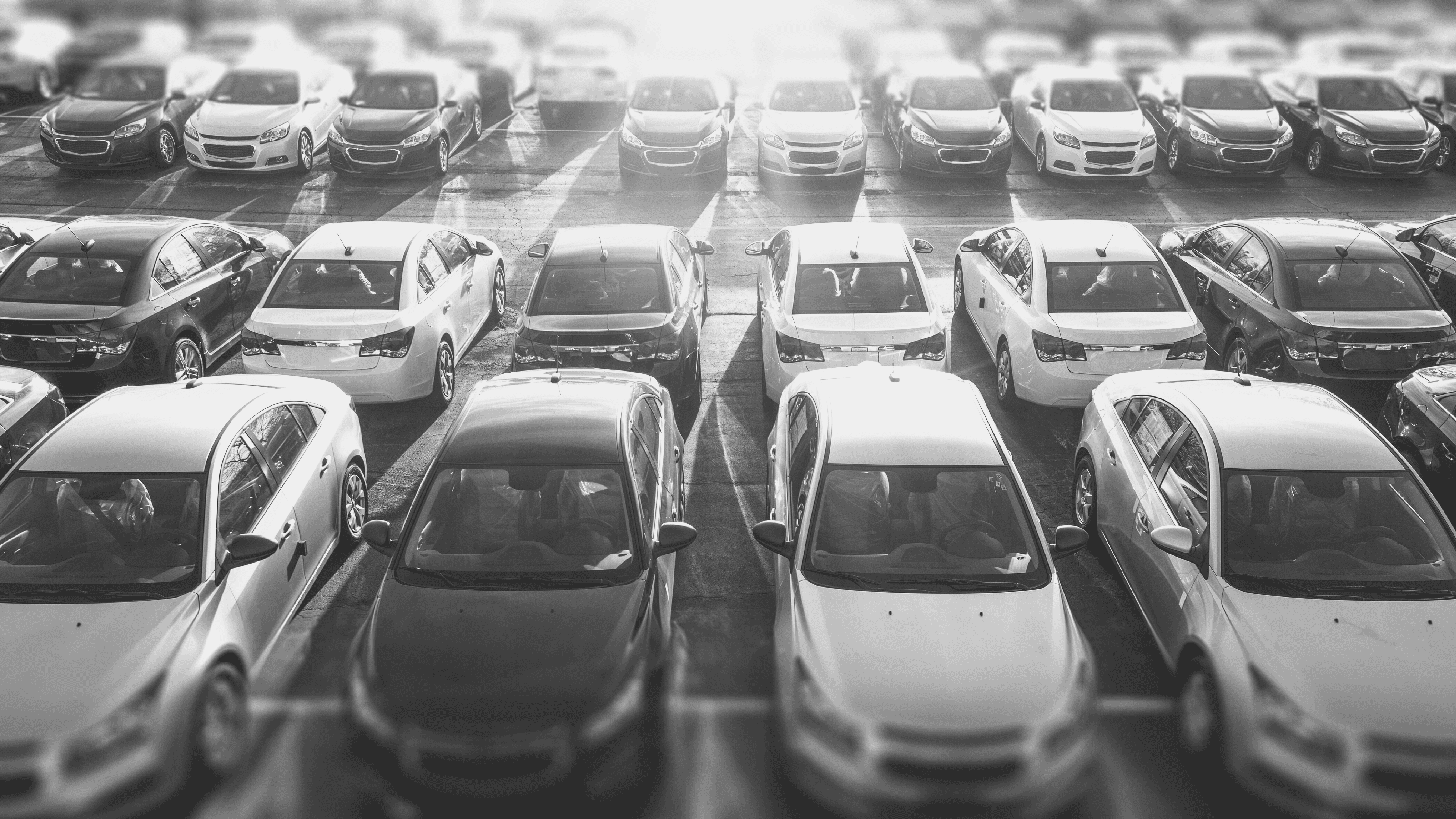 Bilgener Sirküler 82