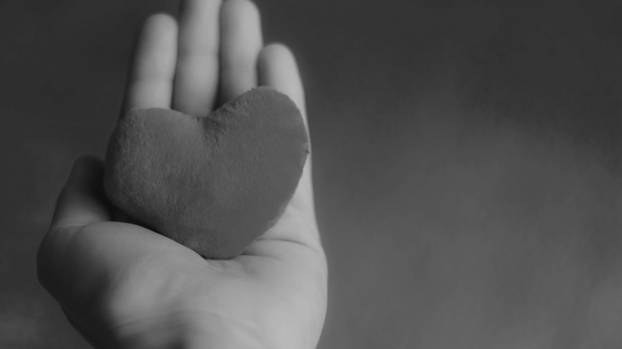 Bilgener Sirküler 28