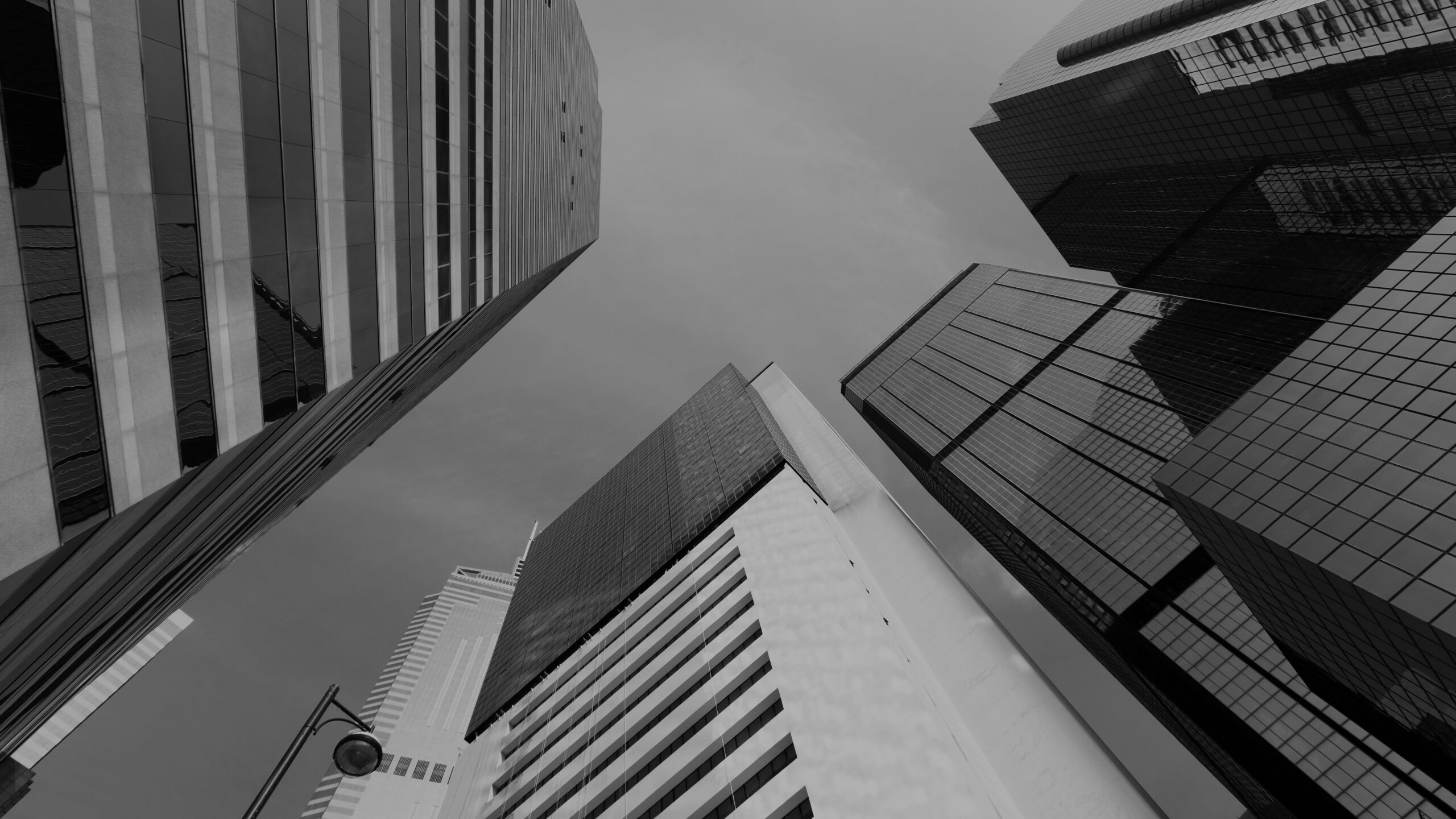 Bilgener Sirküler 39