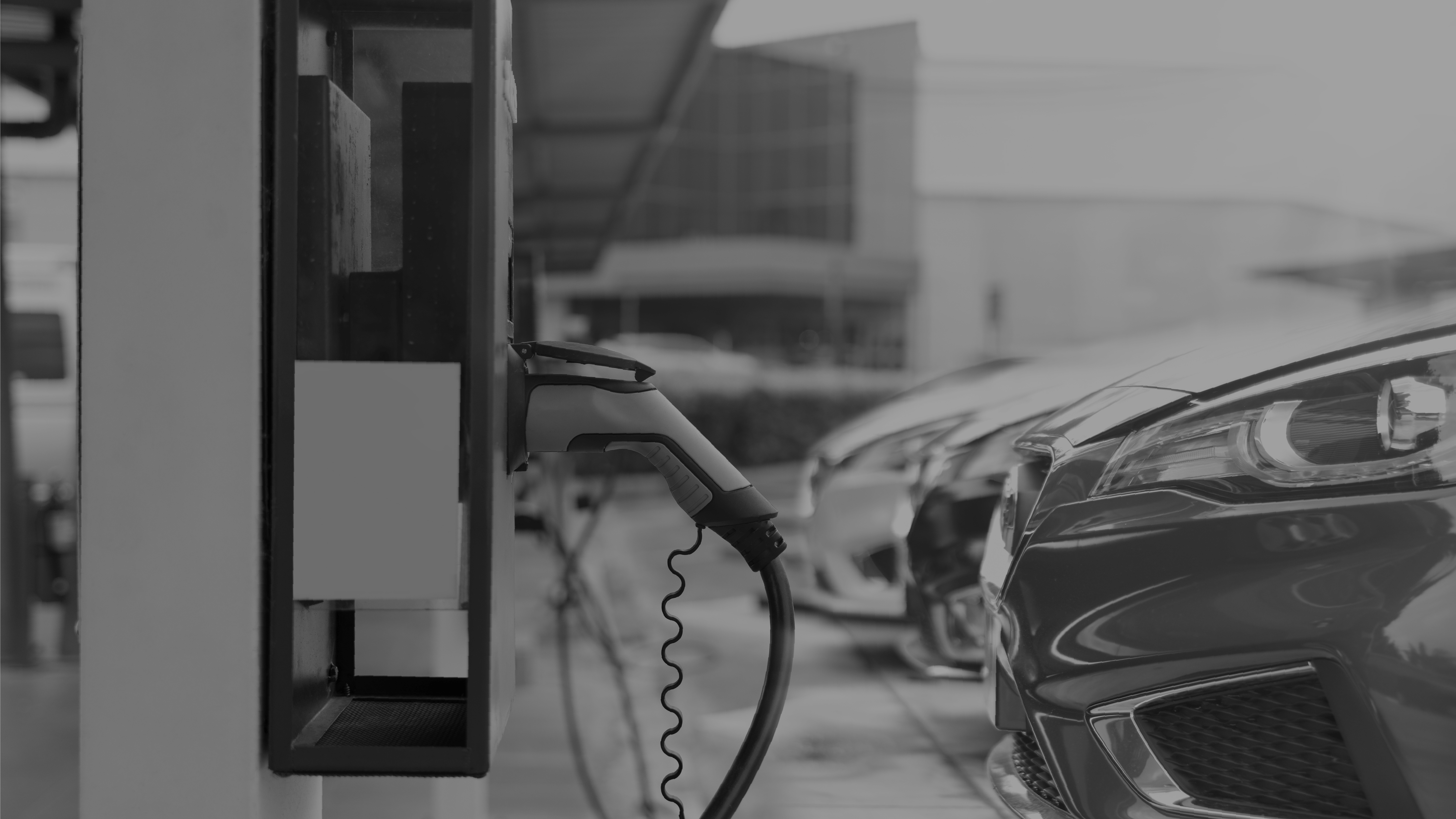 Bilgener Sirküler 37