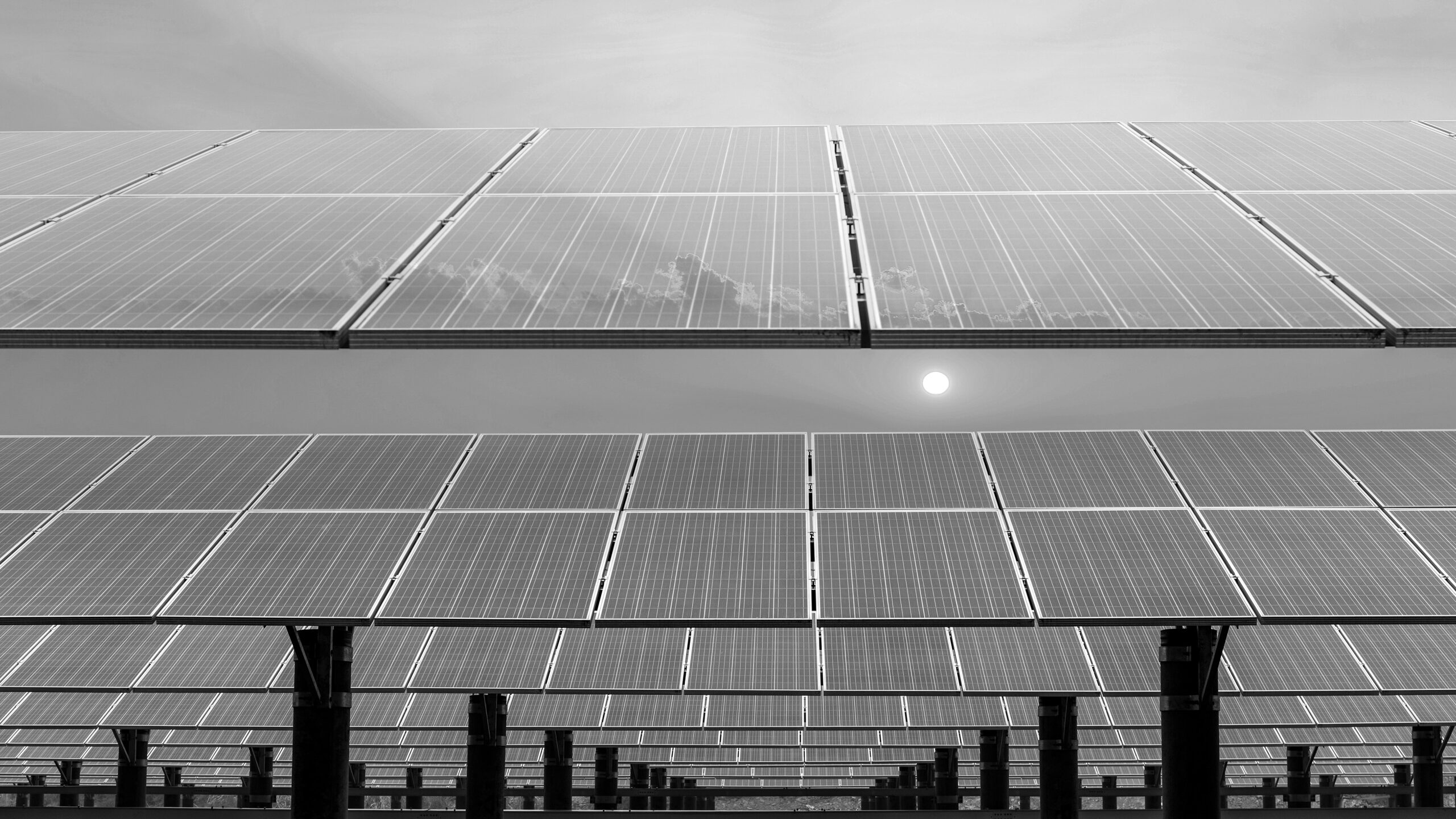 BilgenerSirküler-39